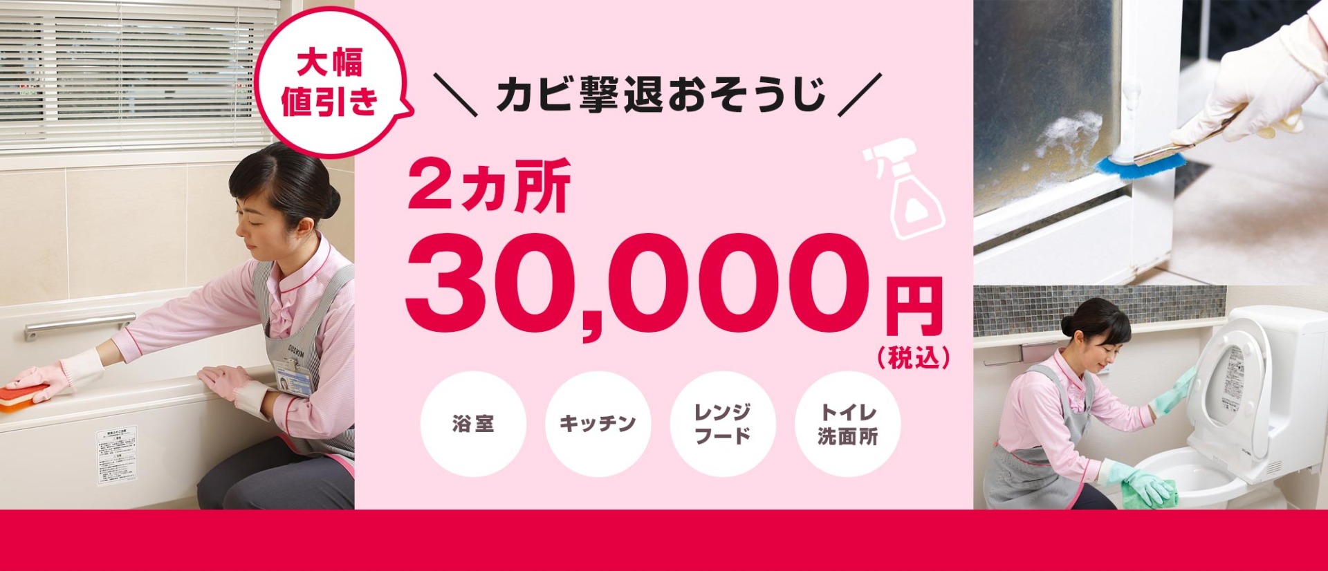 カビ撃退おそうじ